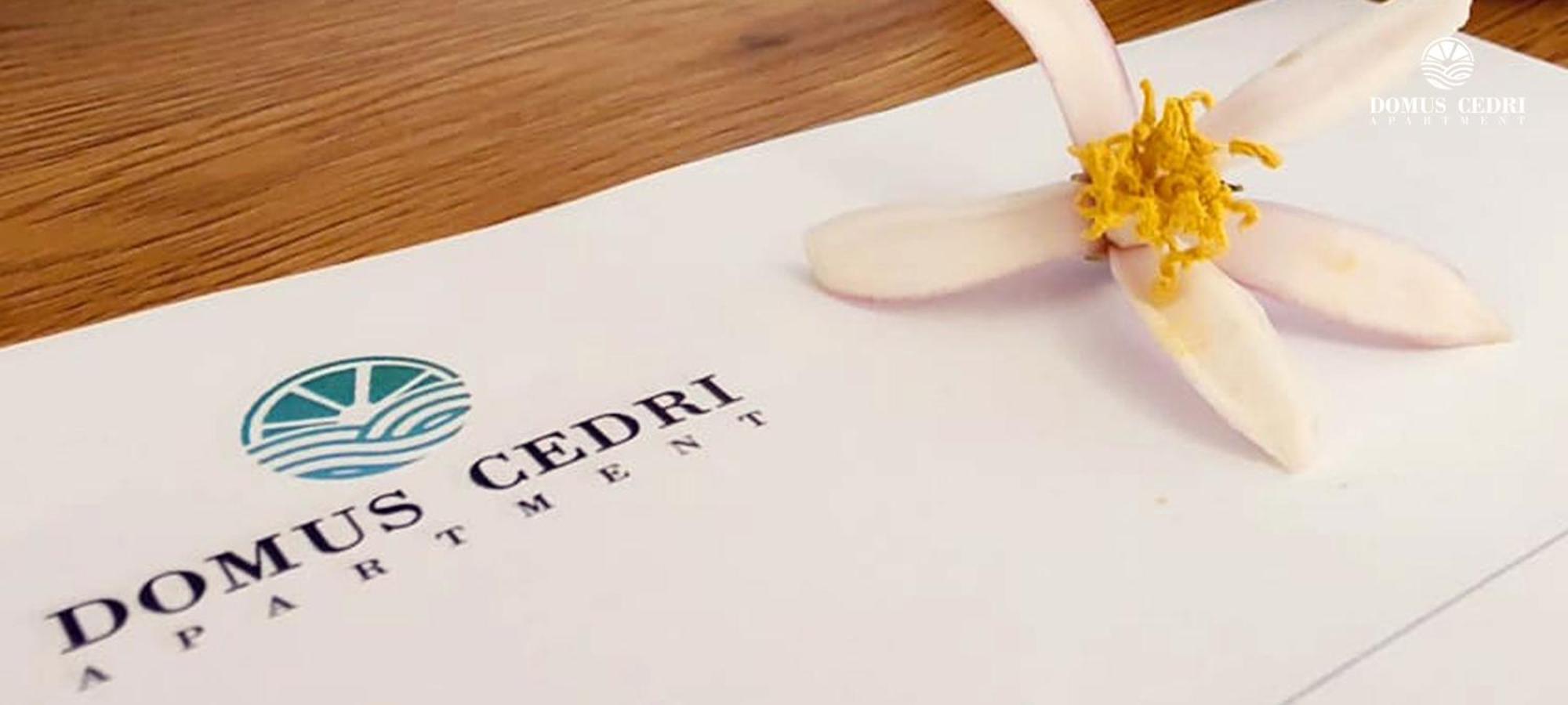 Domus Cedri Apartment سانتا ماريا ديل سيدرو المظهر الخارجي الصورة